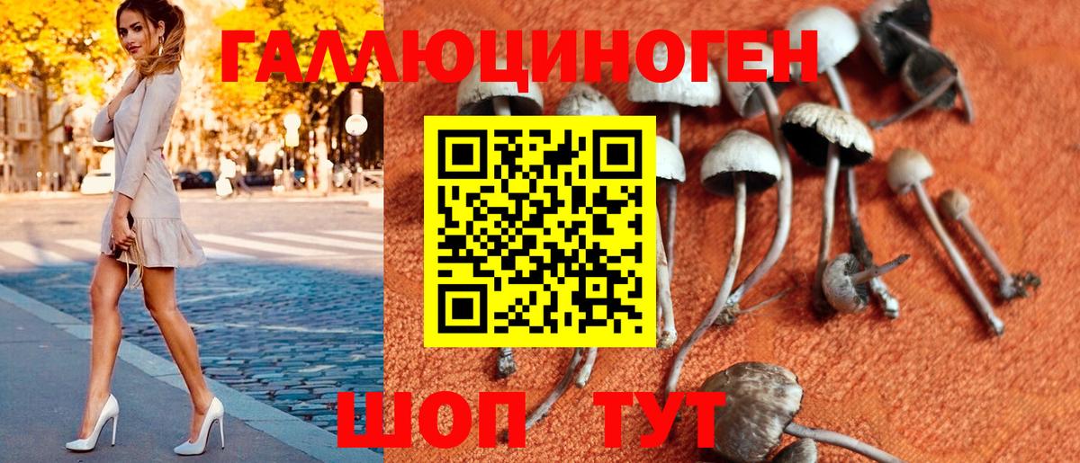 Фрязино  Галлюциногенные грибы Psilocybe  Вход с VPN 