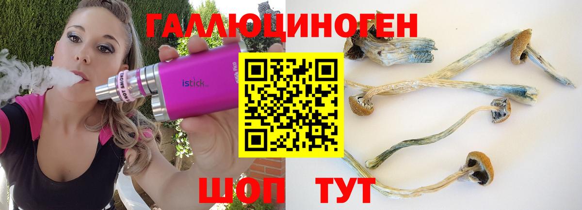 Галлюциногенные грибы GOLDEN TEACHER Фрязино